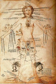 Astrological signs and human body parts 14th century.jpg
