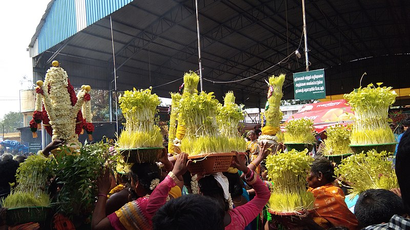 File:Aswin Kaliamman Kovil Thiruvizha.jpg