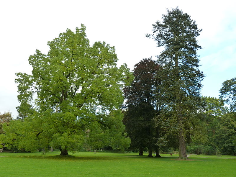 File:Aubel-Val-Dieu (30).JPG