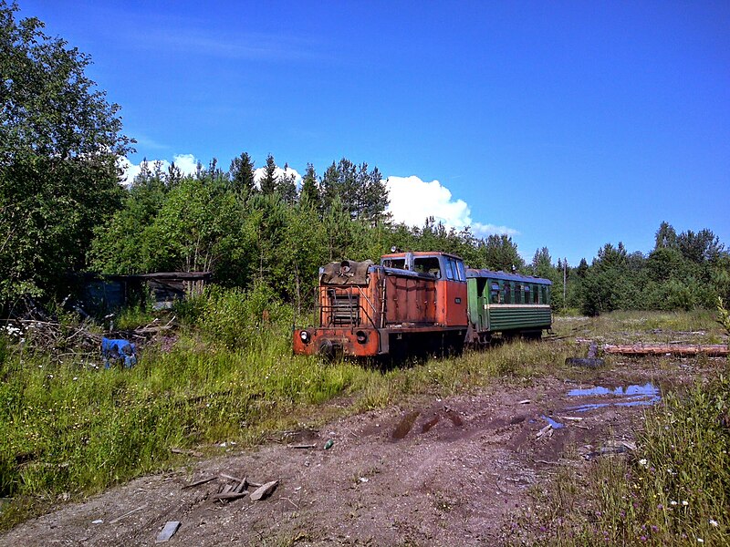 File:Avnyugskaya railway Авнюгская УЖД (14769114815).jpg