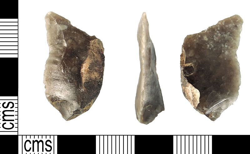 File:Awl , Mesolithic-Neolithic (FindID 628347).jpg