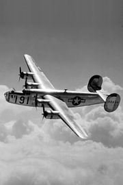 B-24 front quarter top