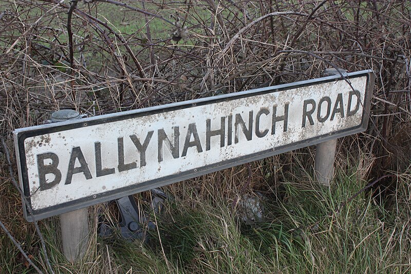 File:Ballynahinch Road, County Down, January 2011 (01).JPG