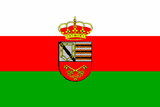 Bandera de Casas.PNG