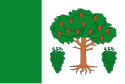 Meaño - Drapeau