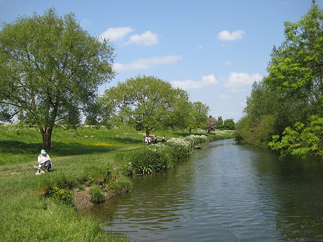 The banks of the River Cam at Grantchester (May 2008)