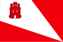 Flagg av Baraona