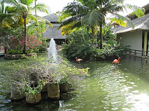 Bavaro — Iberostar — Main lake with flamingos