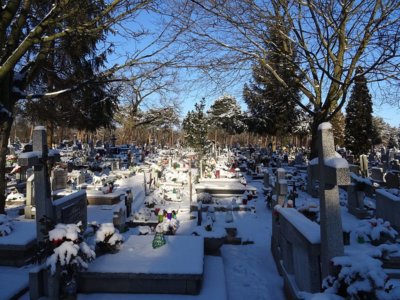 File:Bdg swStanislaw cemetery5 2-2017.jpg