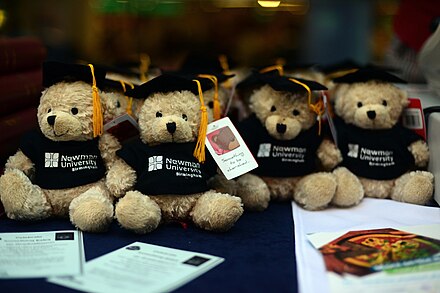 Graduate bears, Newman University, Birmingham