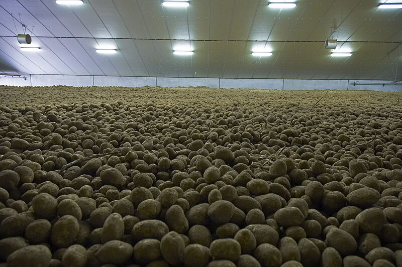 File:Belgium potatoes.jpg