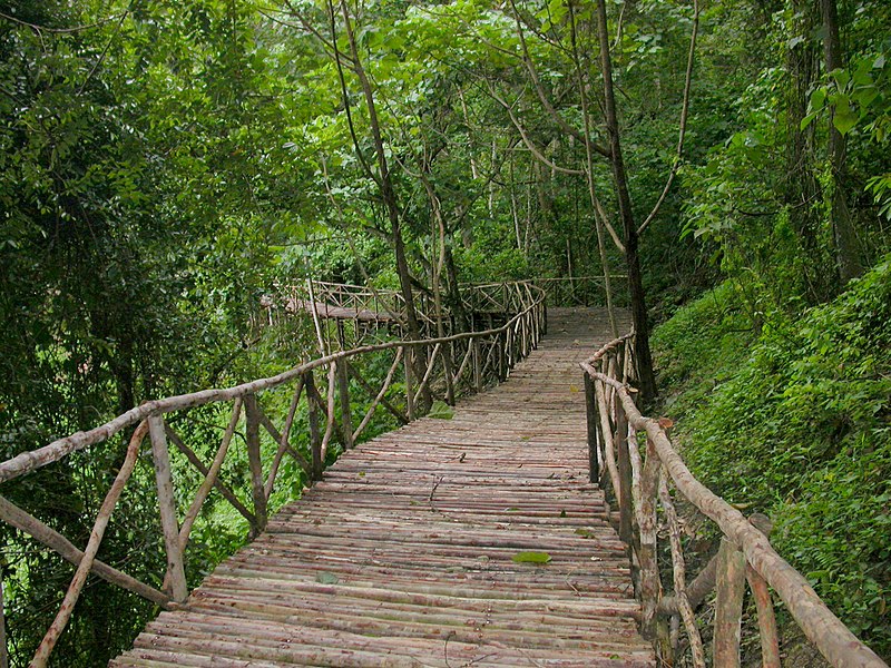 File:Belum Rainforest Resort Outdoor Walkway, Perak, Malaysia.jpg