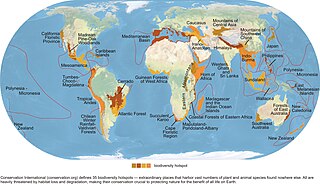 Habitat destruction Process by which a natural habitat becomes incapable of supporting its native species