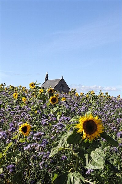 File:Boarhills Chuch.jpg