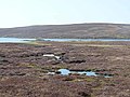 Boggy ground at the head of Olas Voe - geograph.org.uk - 3471737.jpg