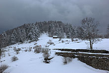 Archivo:Bosco_Chiesanuova_(Grietz_Dossetti_Tinazzo)_Lessinia_VR_Italy_2013-04-01_photo_CTG_ACA_LESSINIA_Paolo_Villa_0072sp16.jpg