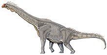 Brachiosaurus DB.jpg