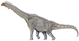 Brachiosaurus altithorax.