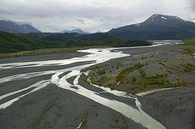 Rzeka roztokowa wśród sandru ze sporymi obszarami kamienistymi