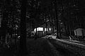 Bright Camp House in Dark Woods (21935549498).jpg