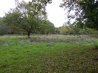 <span class="mw-page-title-main">Brookwood Lye</span> Nature reserve in England