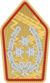 Bundesheer - Rangabzeichen - General.png
