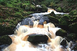 Burbage Brook in Padley Gorge (geograph 3716393).jpg