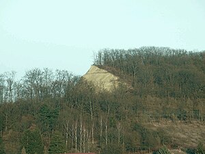 The former quarry on the western edge of the Finnberg