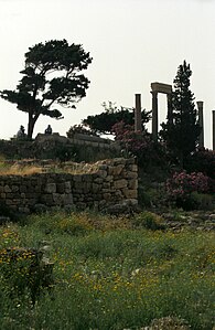 Wzgórze świątyni Baalat Gubal