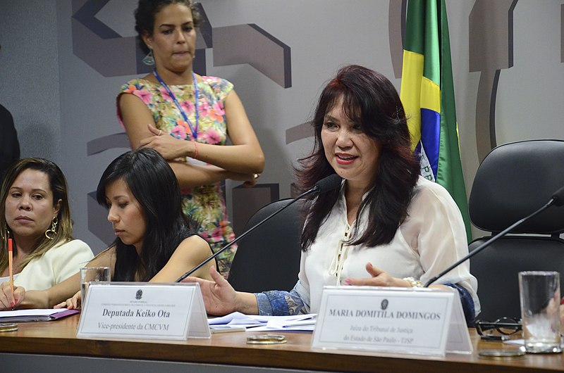 File:CMCVM - Comissão Permanente Mista de Combate à Violência contra a Mulher (22655536174).jpg