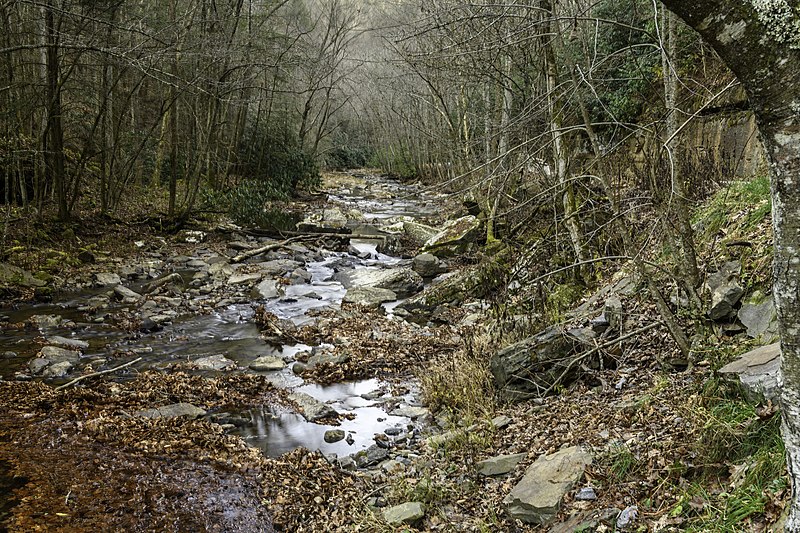 File:Camp Creek State Park - Campbell Falls WV 4 LR.jpg