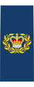 Canadian Air Command (1984-2014) OR-8.svg