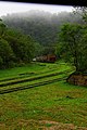 Carga escondida no fim da linha (8175206370).jpg