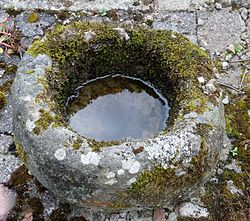 A knocking stone. Carved stone bowl, Monkcastle.JPG