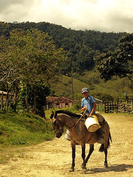 File:Centaurito Laburioso (125168793).jpeg