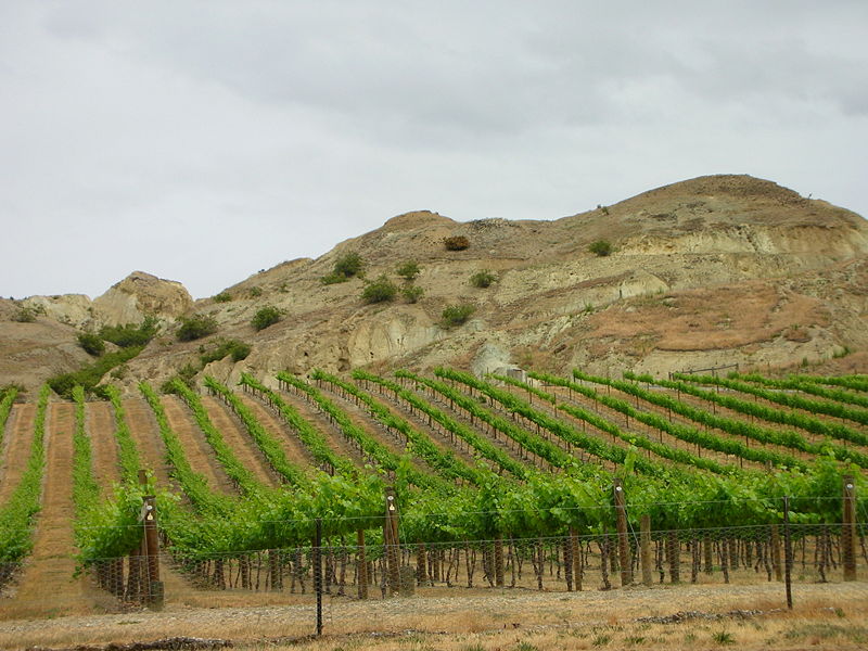 File:Central Otago Wine.JPG