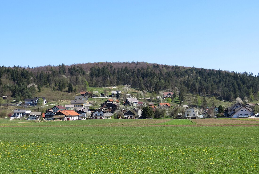 Cesta (Dobrepolje)