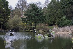 Charleson Park Lagoon (25170789322).jpg