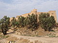 نمایی از قلعه