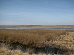 Cheyenne Bottoms.jpg