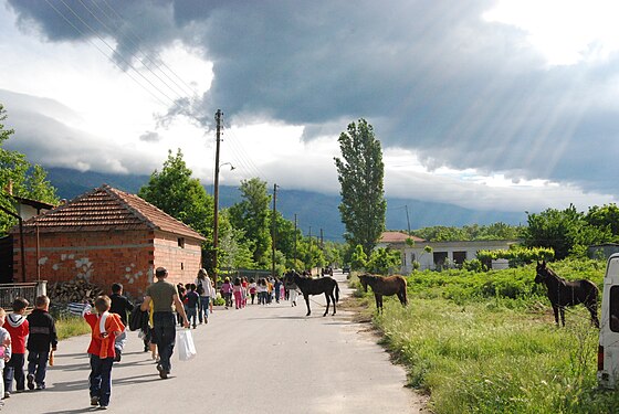 School children going on a field trip in a village in northern Greece.