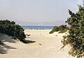 Strandliv, omrisset av Kreta i bakgrunnen