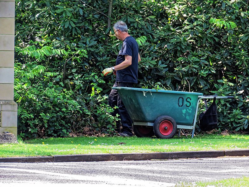 File:City of London Cemetery Gardener 6.jpg