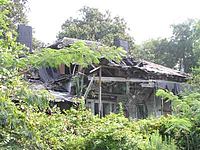Ruins of the Coker House in 2005