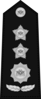 Colonel Insignia MM.png