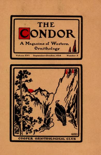 File:Condor16(5).djvu