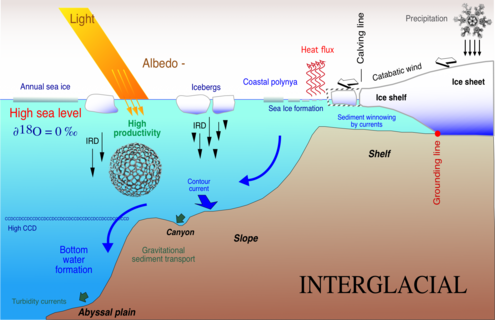 Glaciomarine sedimentation at the margin of an ice-covered continent during interglacial Contmargin-interglacial hg.png