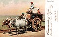 Cotton Cart with message.jpg