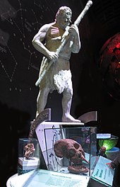 présentation de musée : une statue avec une massue et des objets dans des vitrines