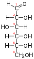 La projecció de Fischer de la forma oberta de la D-glucosa